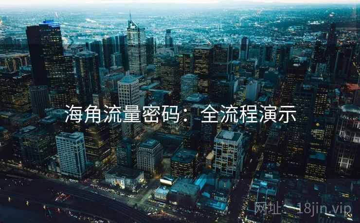 海角流量密码：全流程演示