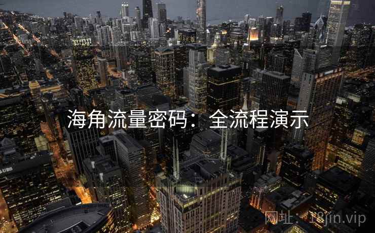 海角流量密码：全流程演示