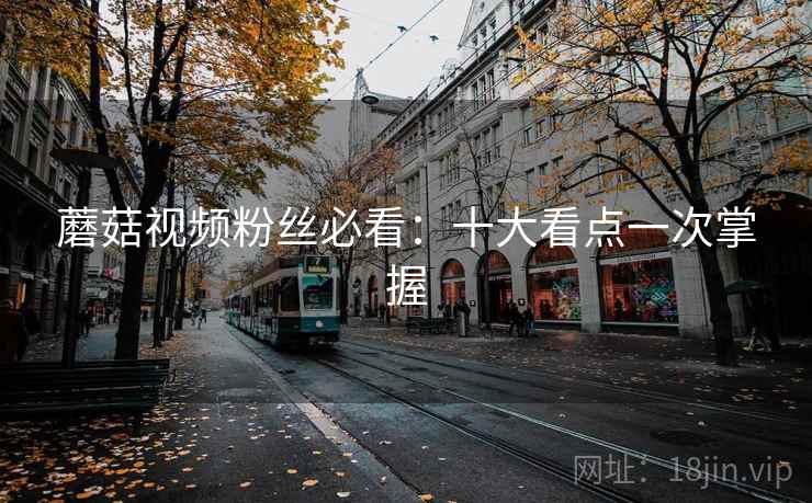 蘑菇视频粉丝必看：十大看点一次掌握