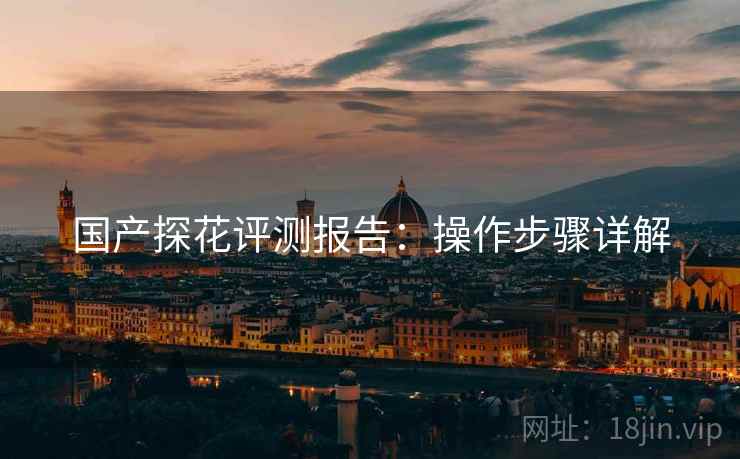 国产探花评测报告：操作步骤详解