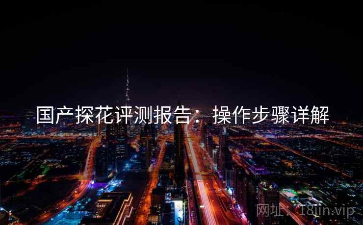 国产探花评测报告：操作步骤详解