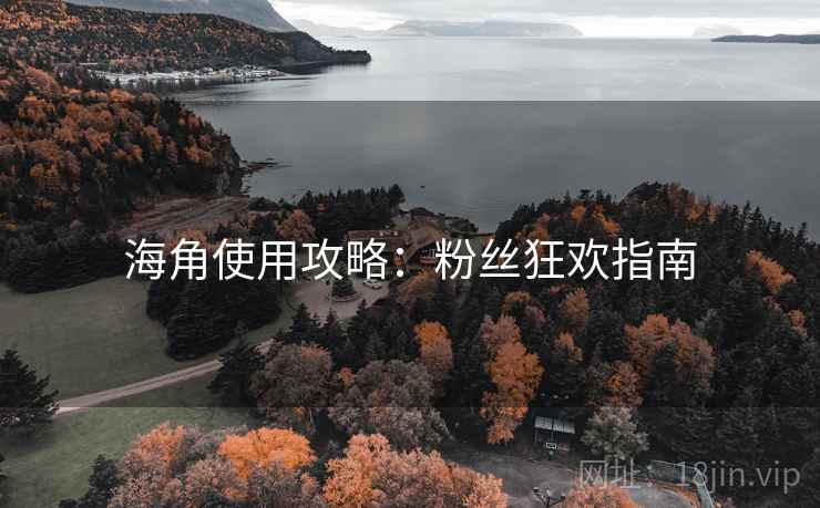 海角使用攻略：粉丝狂欢指南