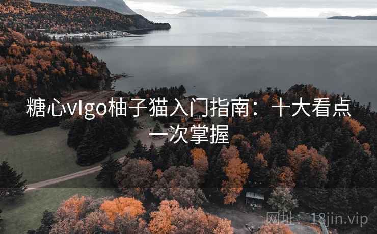 糖心vIgo柚子猫入门指南：十大看点一次掌握