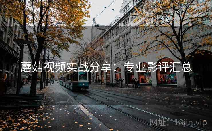 蘑菇视频实战分享：专业影评汇总
